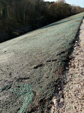 Hydroseeded rail embankment at Frodingham, Lincolnshire — steep slope vegetation for Story Rail.