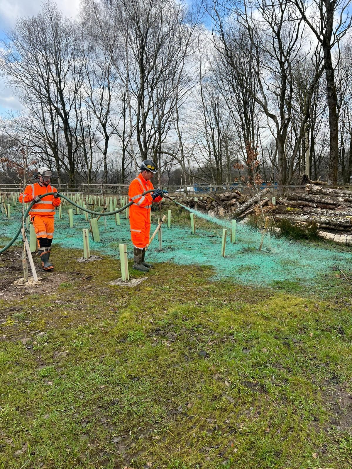 Hydroseeding between trees using. Hoses allow access to delicate and hard to reach areas.