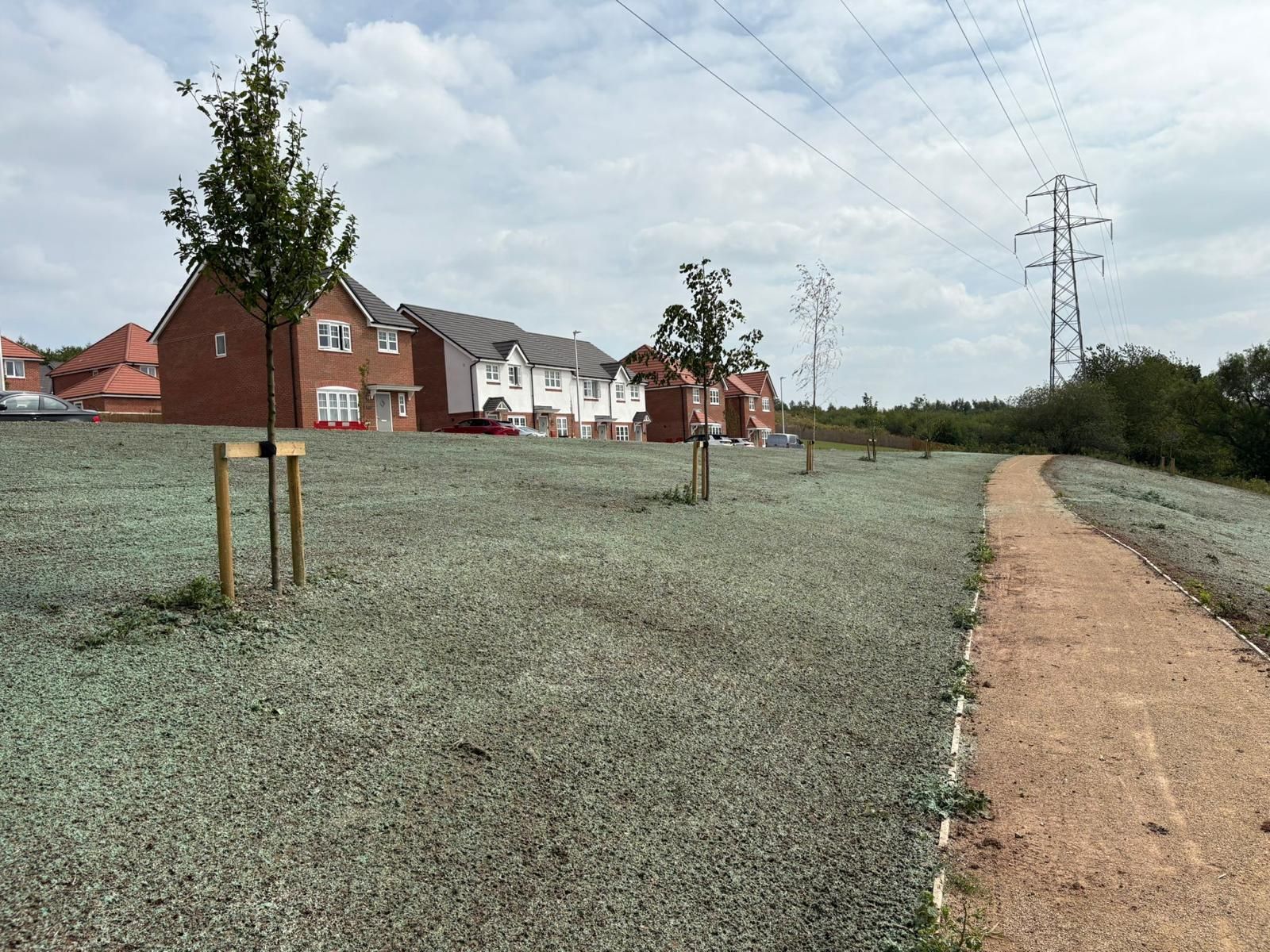 Pathway next to grassy area with young trees, new houses in the background, power lines overhead.