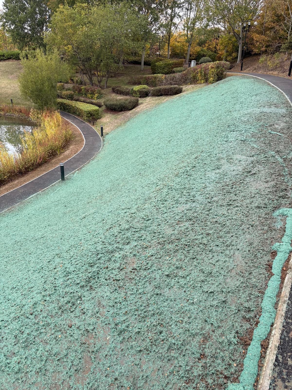 Green slope with walking paths in a park. Trees and a pond are visible in the background.