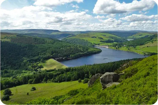 A hydroseeded embankment at Ladybower dam. Derbyshire, England.
