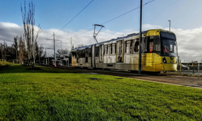 Hydroseeded rail embankment at Frodingham, Lincolnshire — steep slope vegetation for Story Rail.
