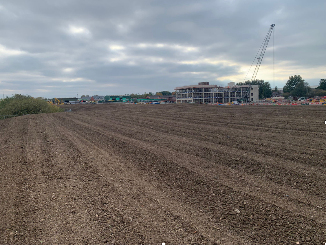Prepared ground ready for conventional seeding at Murphy Construction new head office development, Goldborne