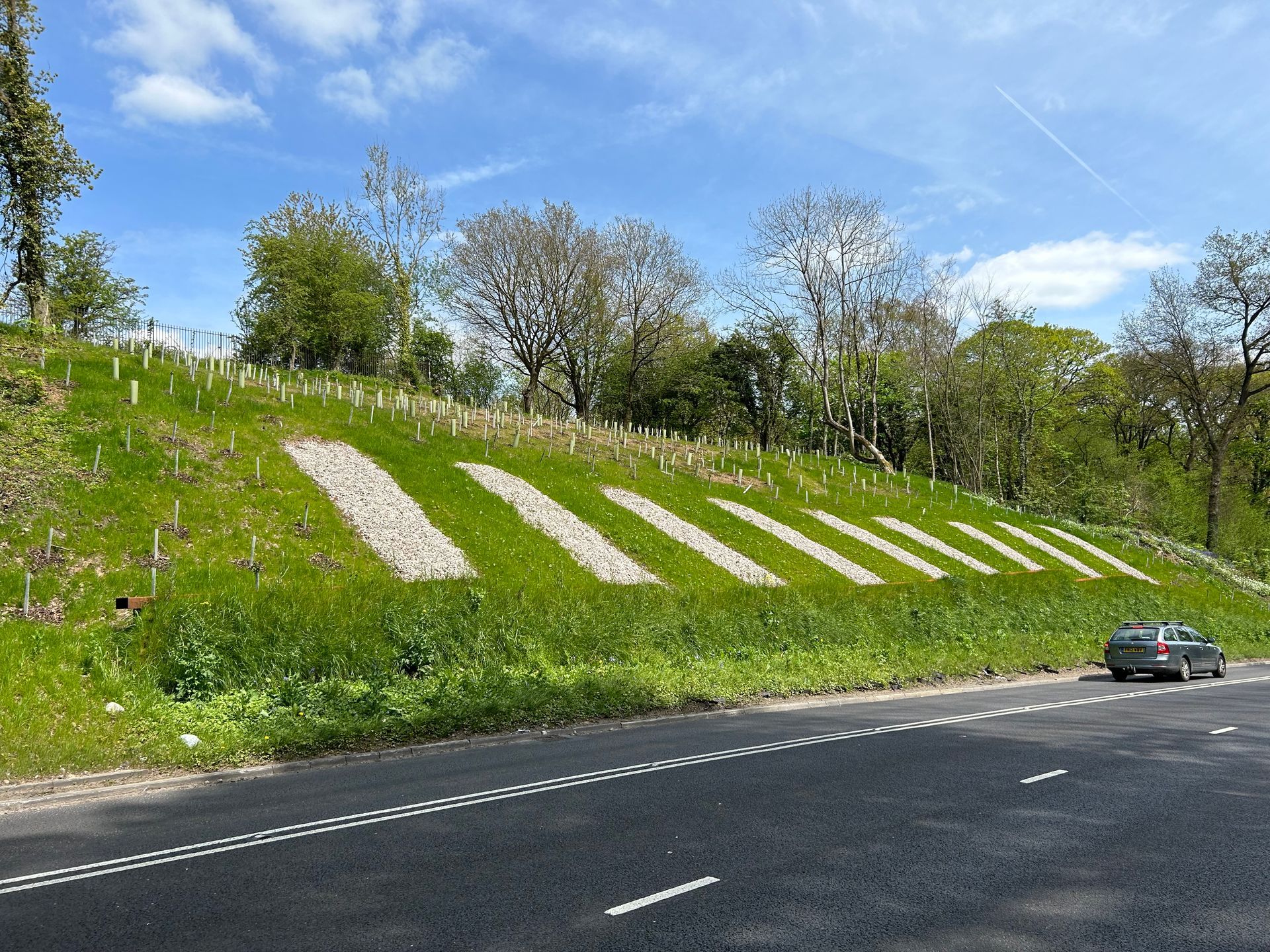 Grassy hillside with stone paths, young trees, and a road with a car.