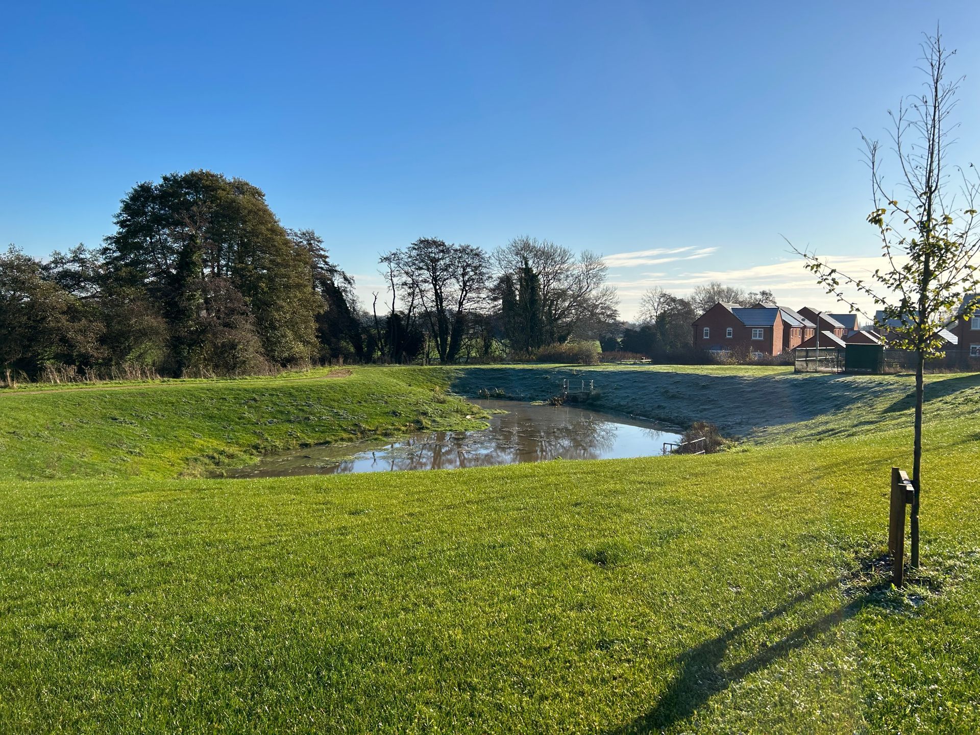 Grassy field with small pond, trees, and houses under a clear, blue sky.