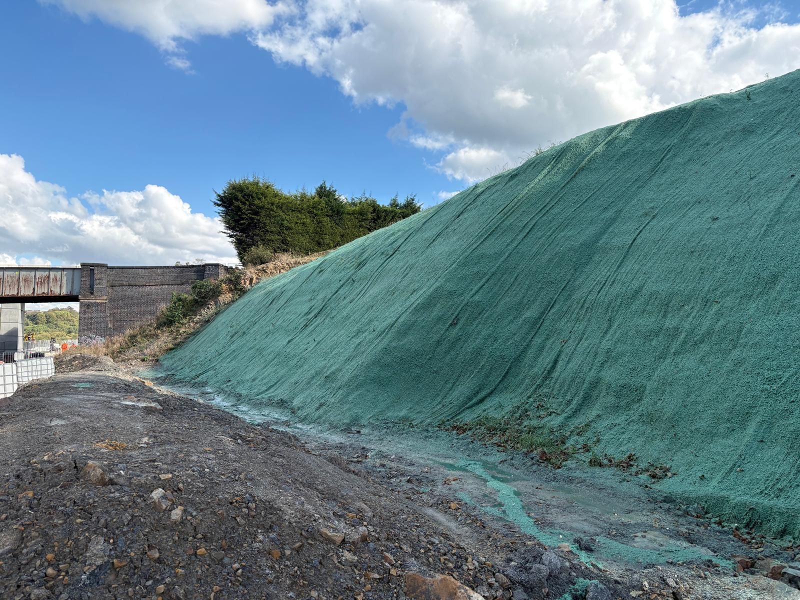 Established grass on highway verge following conventional seeding at Machynlleth Bridge, Mid Wales