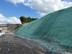 Established grass on highway verge following conventional seeding at Machynlleth Bridge, Mid Wales