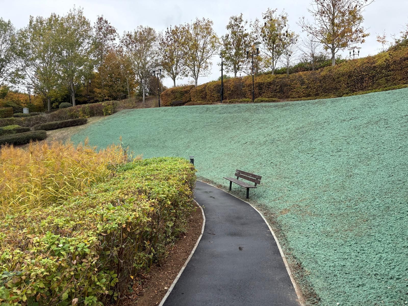 Asphalt path curves through a park, past a bench on a green slope and colorful autumn foliage.