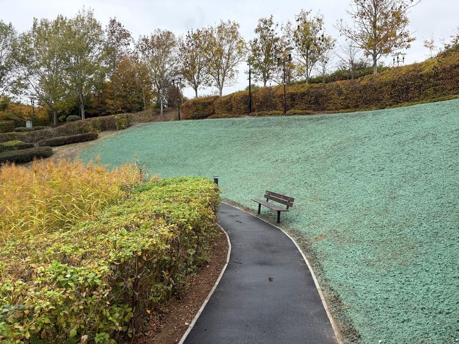 Wildflower hydroseeding at Barclaycard HQ with the use of BFM and native seed mixes.