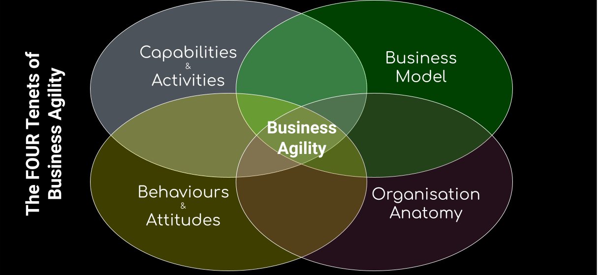 The Competitive Business Agility Framework - Summary