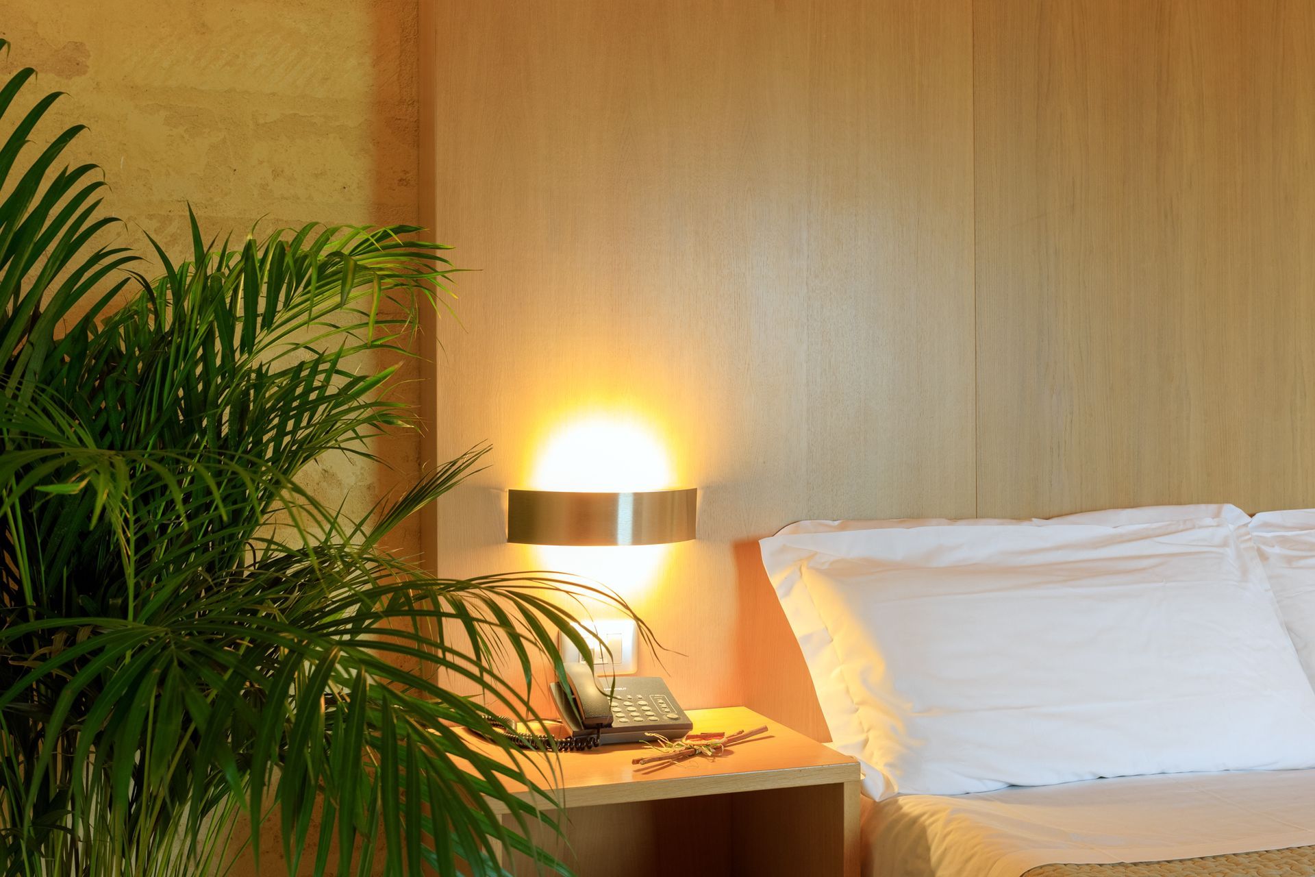 Camera da letto in stile hotel con lampada da comodino accesa, letto bianco e pianta verde sulla sinistra.