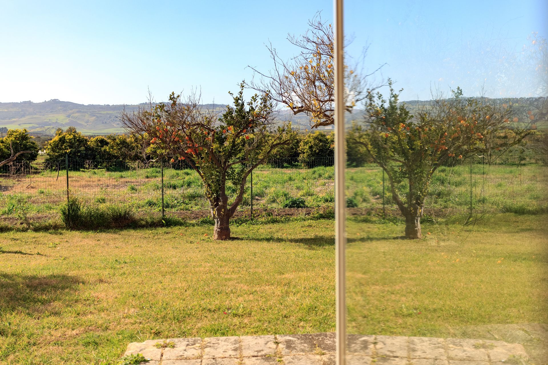 Un prato soleggiato con due piccoli alberi e colline in lontananza visibili attraverso una porta a vetri.