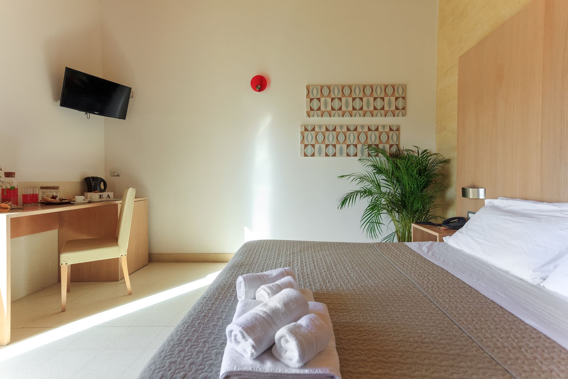 Luminosa camera d'albergo con letto ben rifatto, scrivania e sedia, TV a parete, pianta e luce del sole sul pavimento.