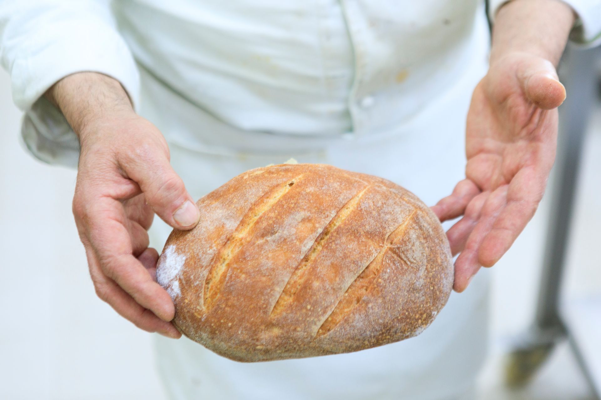 Mani che reggono una pagnotta rotonda su una superficie bianca