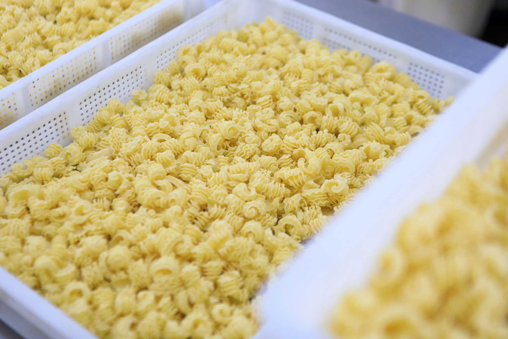 Pezzi di pasta gialla disposti su vassoi bianchi per l'essiccazione o la selezione