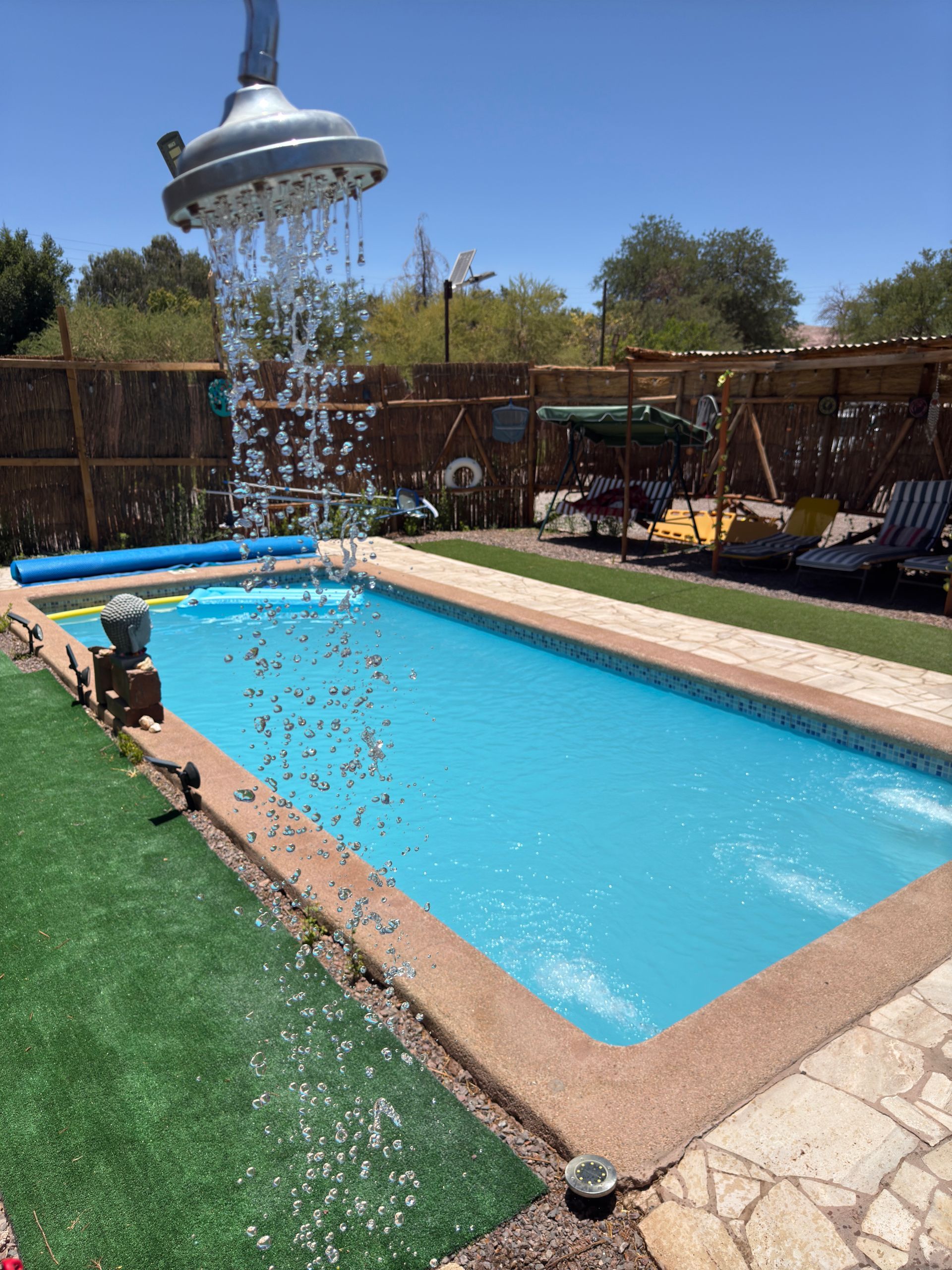 Piscina en el patio trasero con ducha que rocía agua, agua azul y tumbonas al sol.