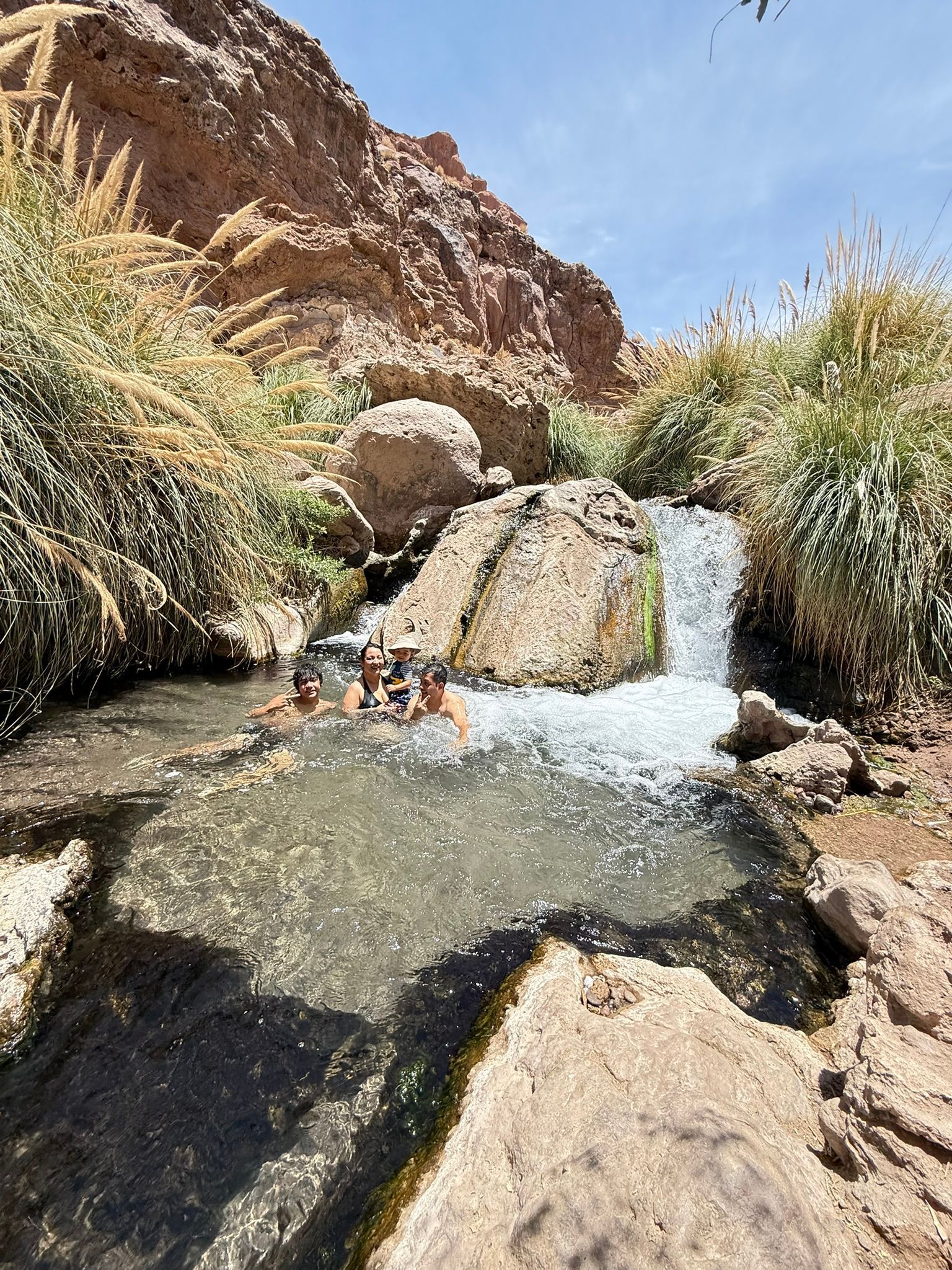 Una pequeña cascada desemboca en una poza rocosa del desierto, junto a hierbas altas y acantilados rojos.