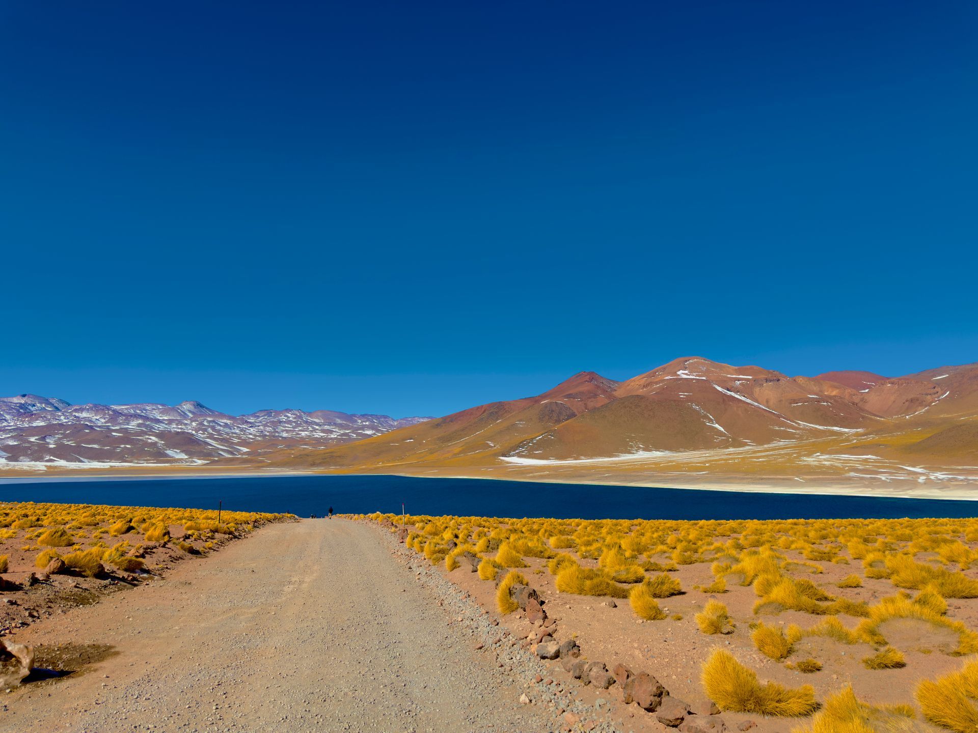 Camino de tierra a través de matorrales desérticos hacia un lago azul y montañas cubiertas de nieve bajo un cielo despejado.