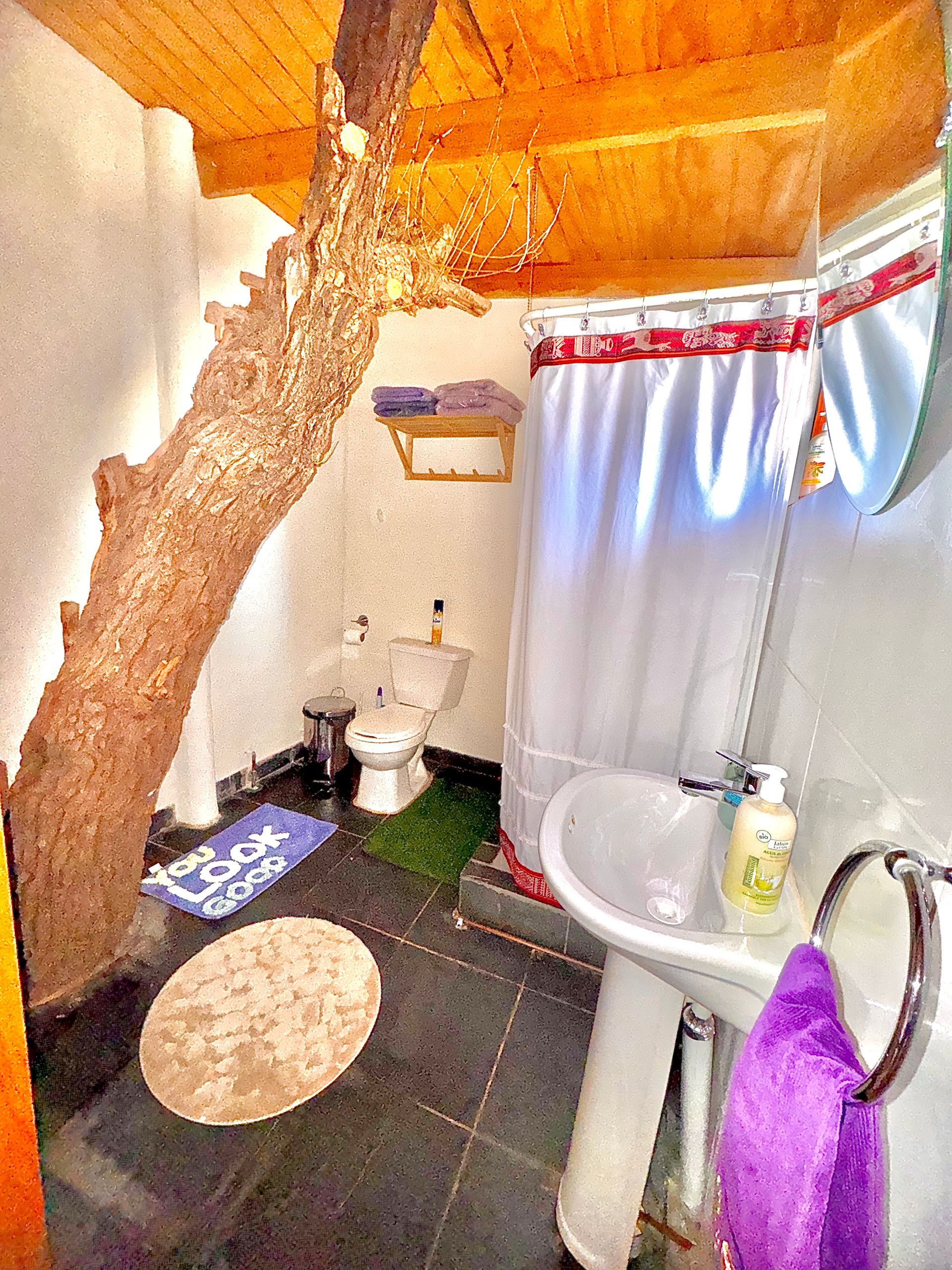 Baño compacto con techo de madera, cortina de ducha, lavabo, inodoro y decoración con forma de tronco de árbol.