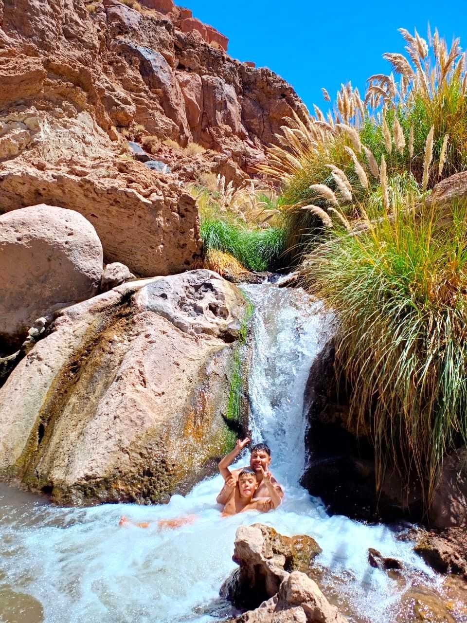 Una persona nada en una pequeña cascada del desierto, junto a rocas y juncos verdes, bajo un acantilado rocoso.
