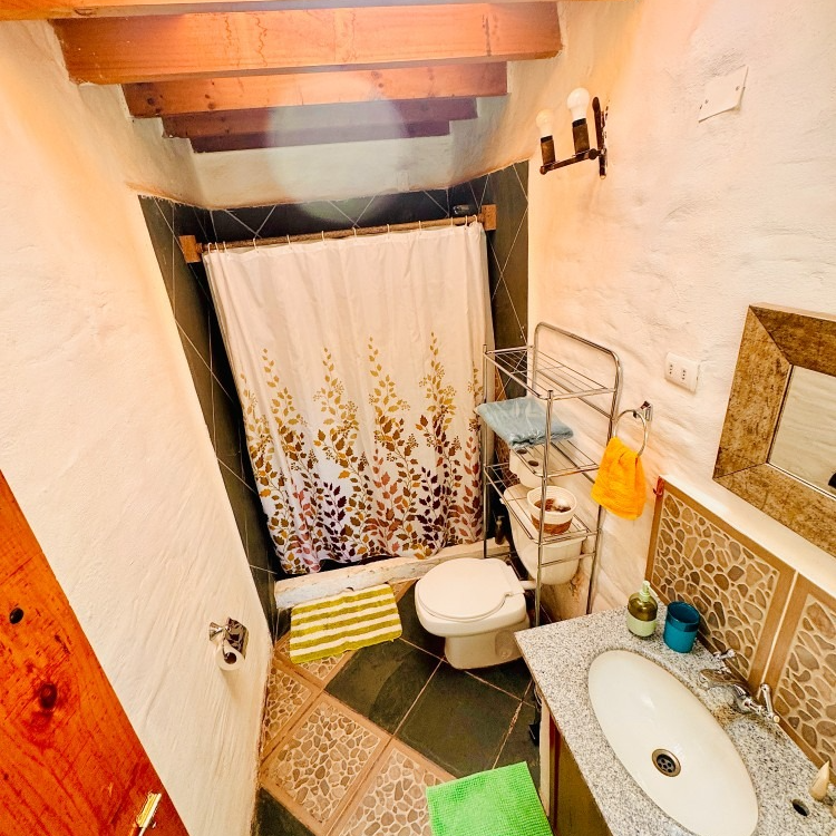 Baño pequeño con cortina de ducha, inodoro, lavabo, azulejos estampados y vigas de madera en el techo.