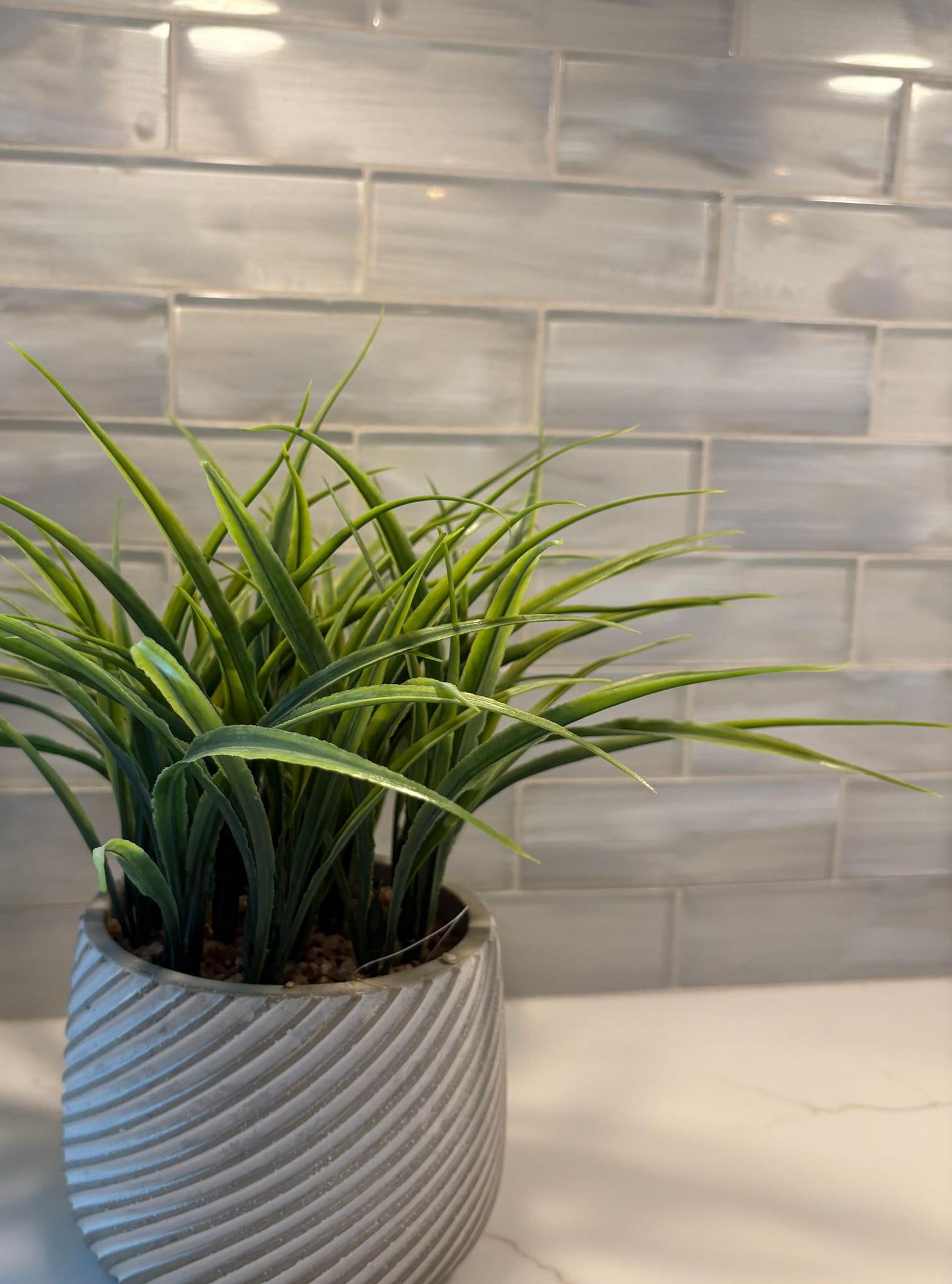 Green plant in a gray, textured pot sits on a white surface against a light blue brick-like wall.