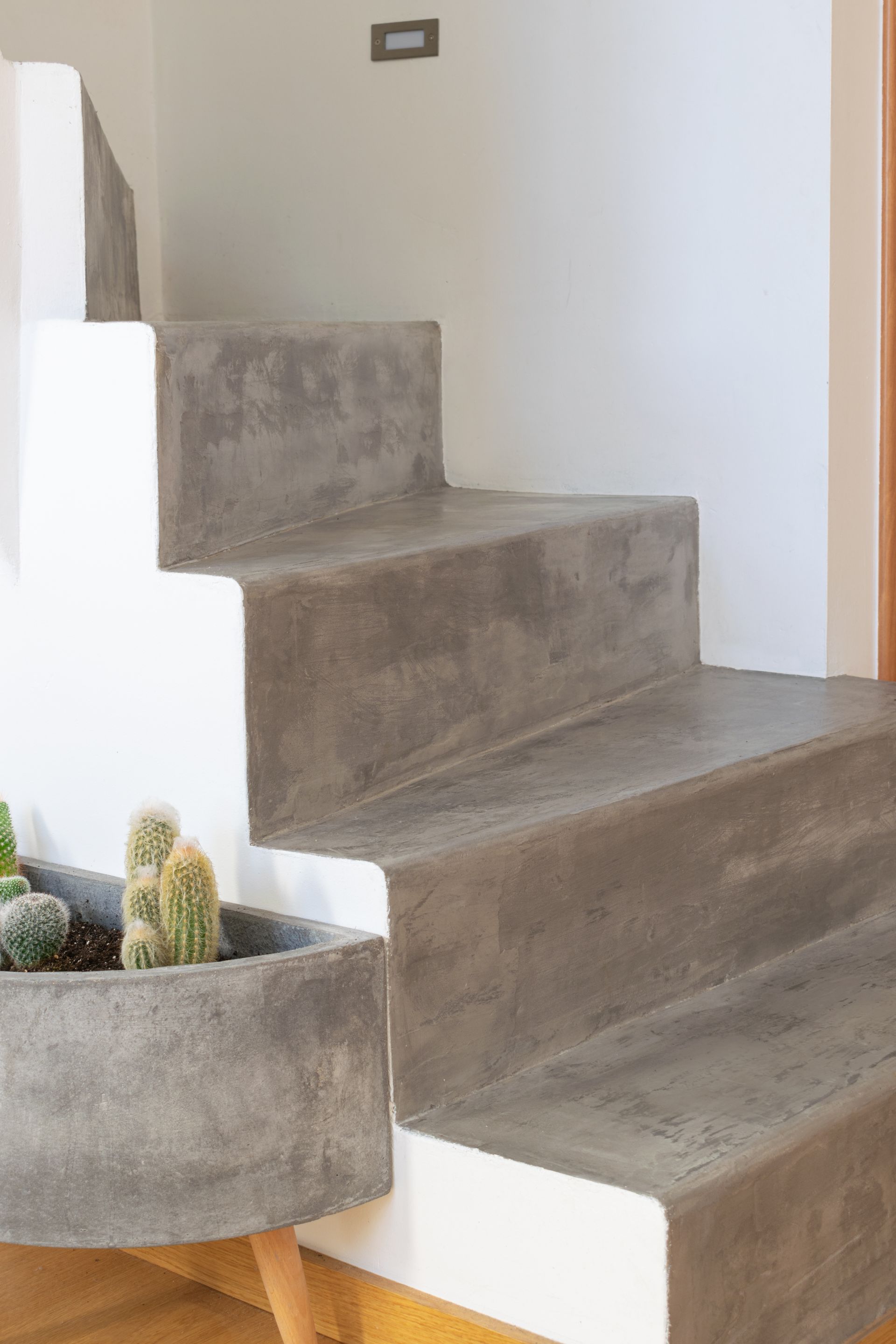 Concrete stairs with built-in planter and cacti; white wall.