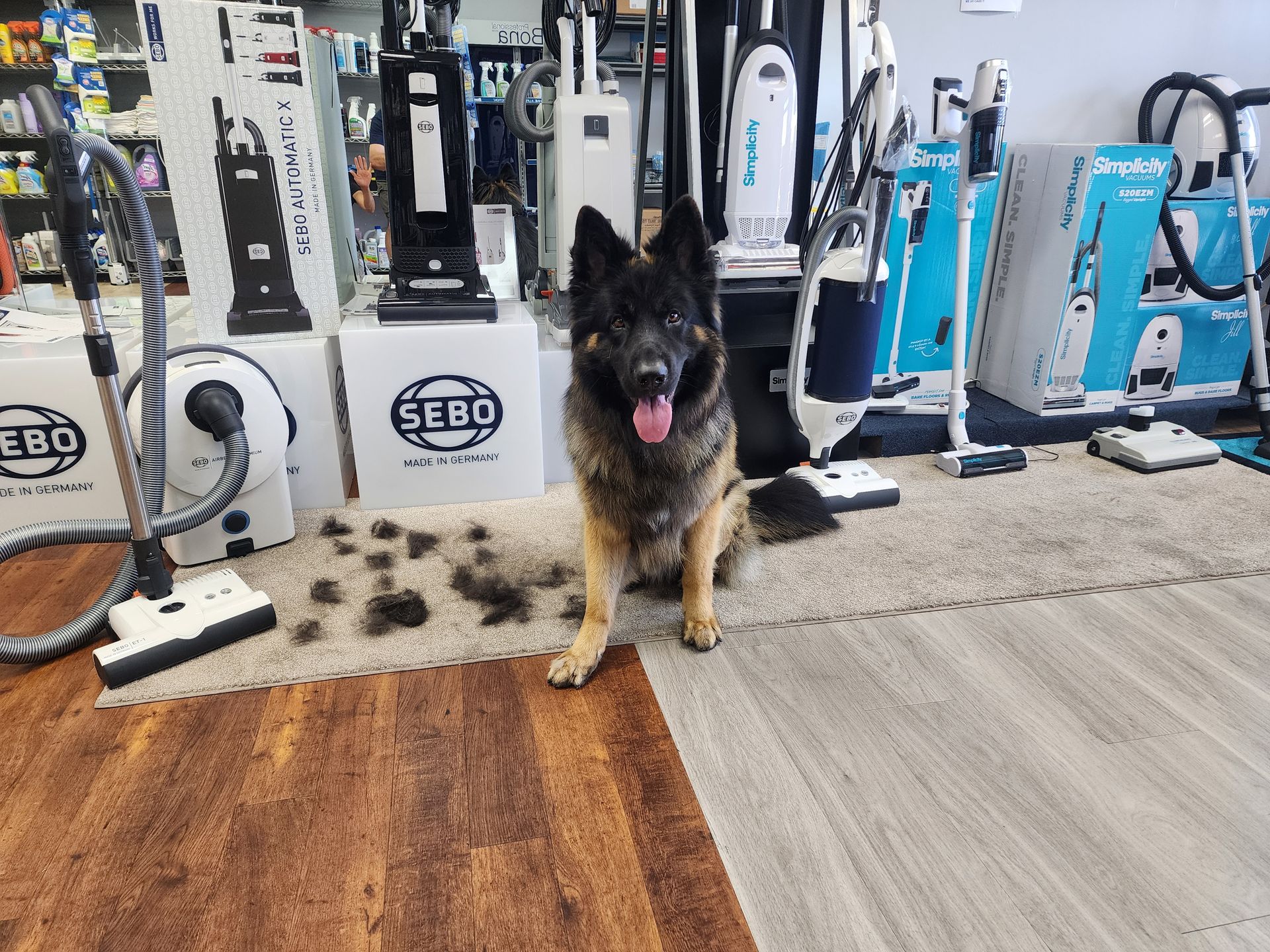 A German Shepherd sits on a rug in a vacuum store, surrounded by piles of its own shed fur, with various vacuums nearby.