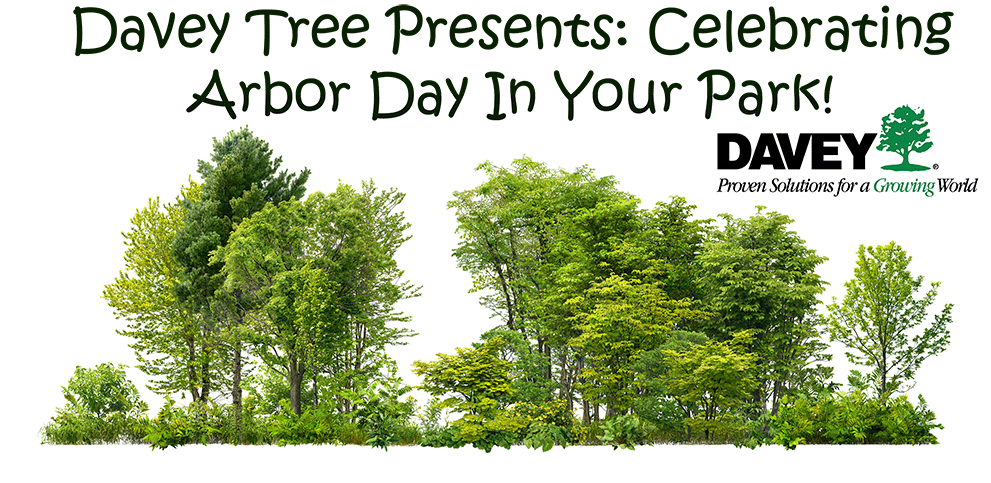 national-association-of-park-foundations