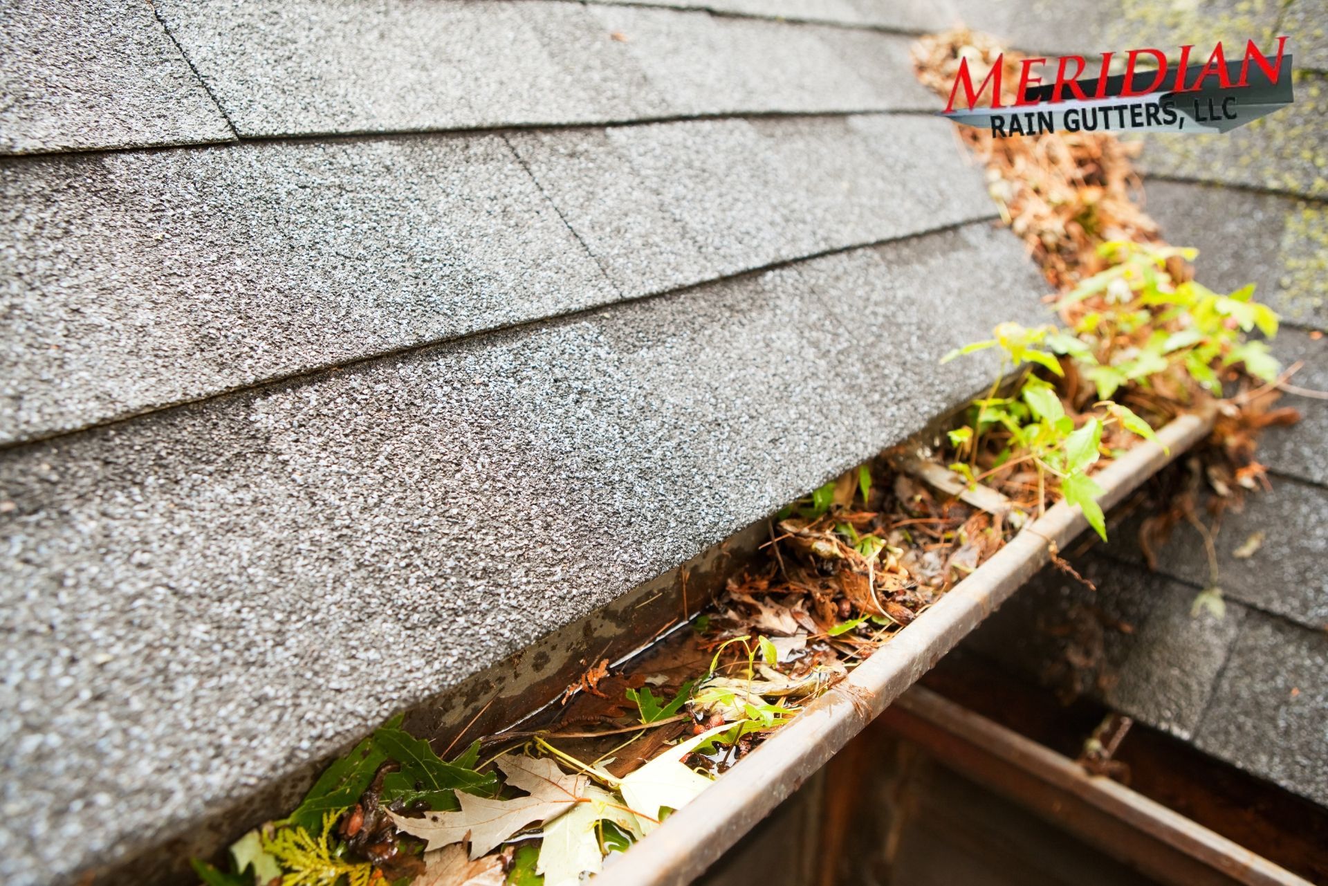 How Clogged Gutters Lead to Costly Foundation Damage in Boise ID - Meridian Rain Gutters