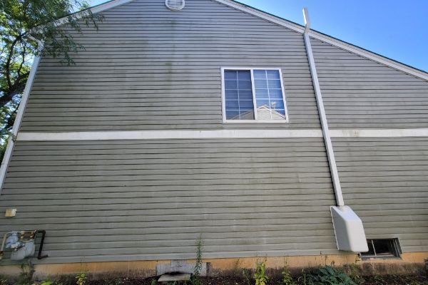 The side of a house with a lot of green algae on it.