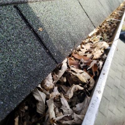 A gutter filled with leaves is sitting on top of a roof.
