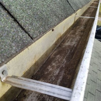 A close up of a gutter on a roof with a ladder attached to it.