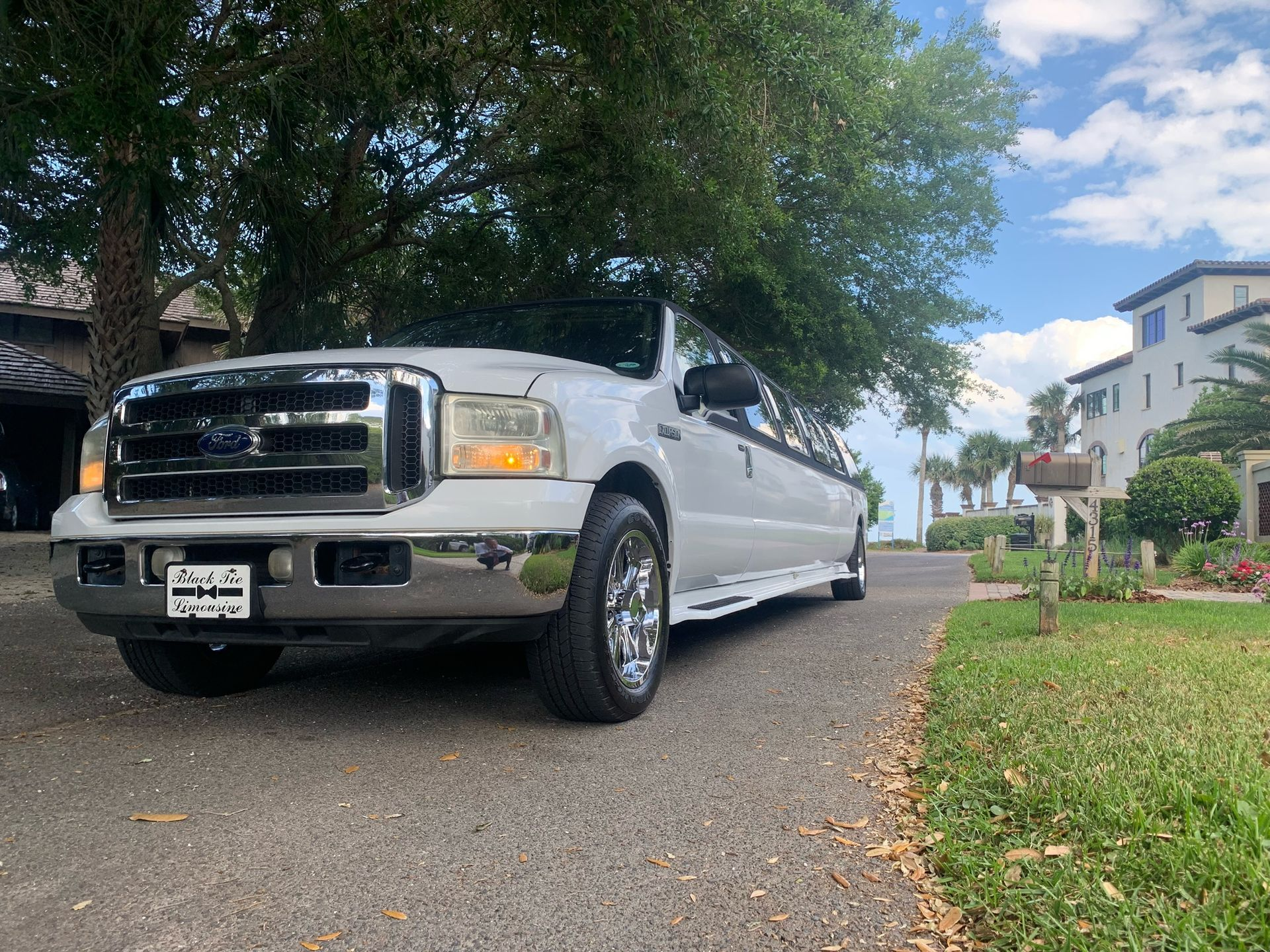White limousine parked on a driveway with a grassy yard and a large tree in the background.