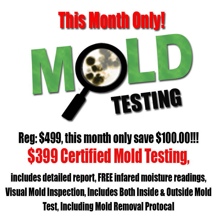 $399 Mold Testing, Certified Lab Mold Testing