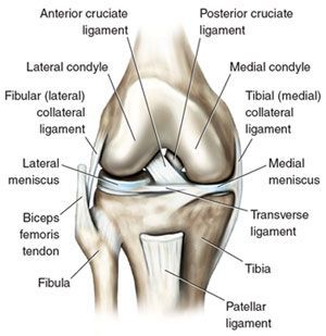 Medial Collateral Ligament (MCL) Tear Surrey and New Westminster