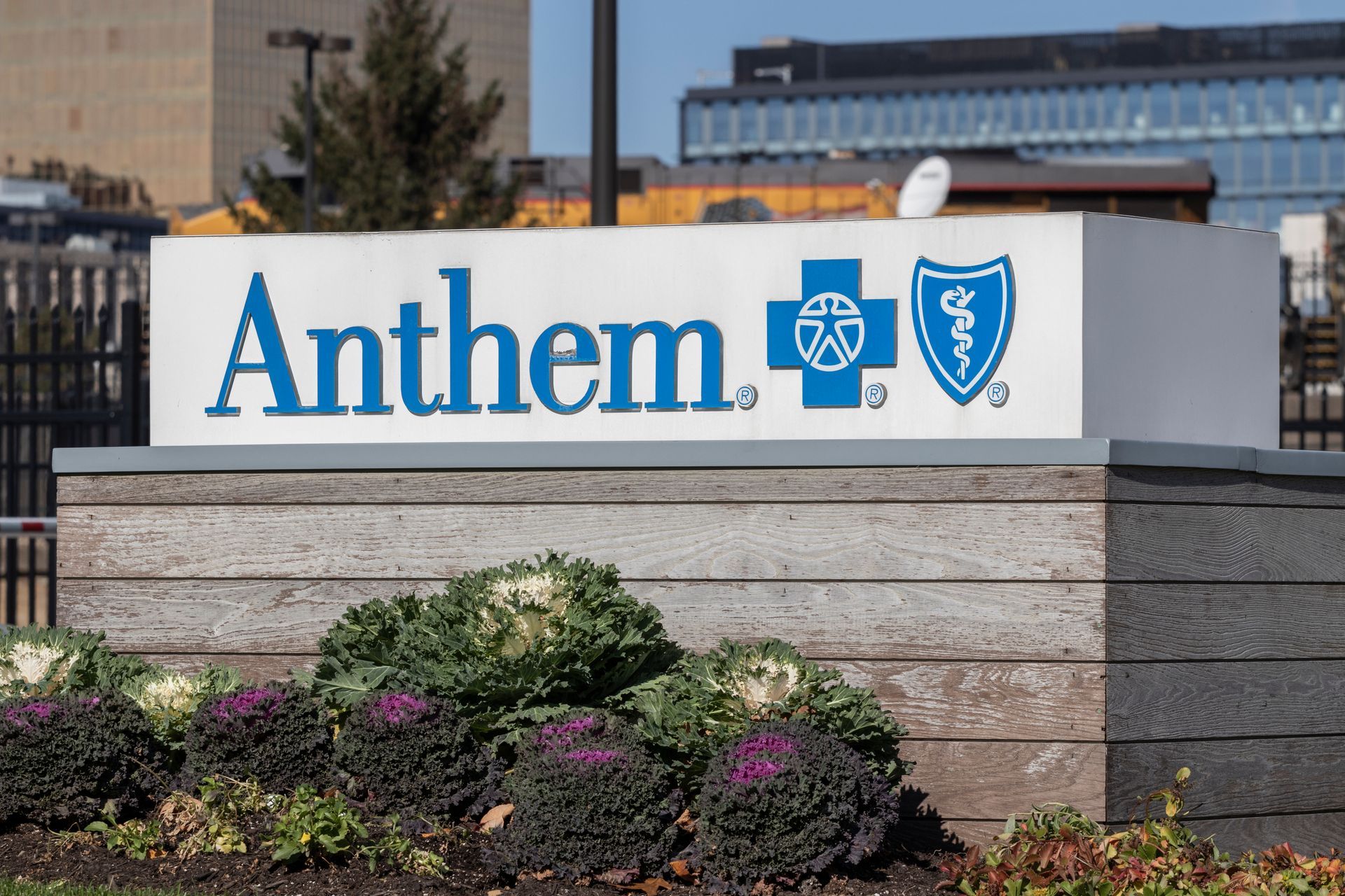 anthem security breaches