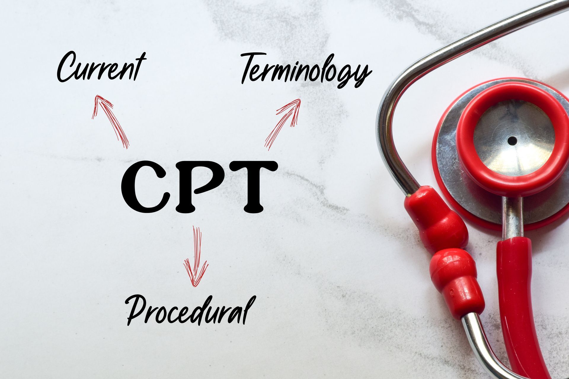 cms audit focus