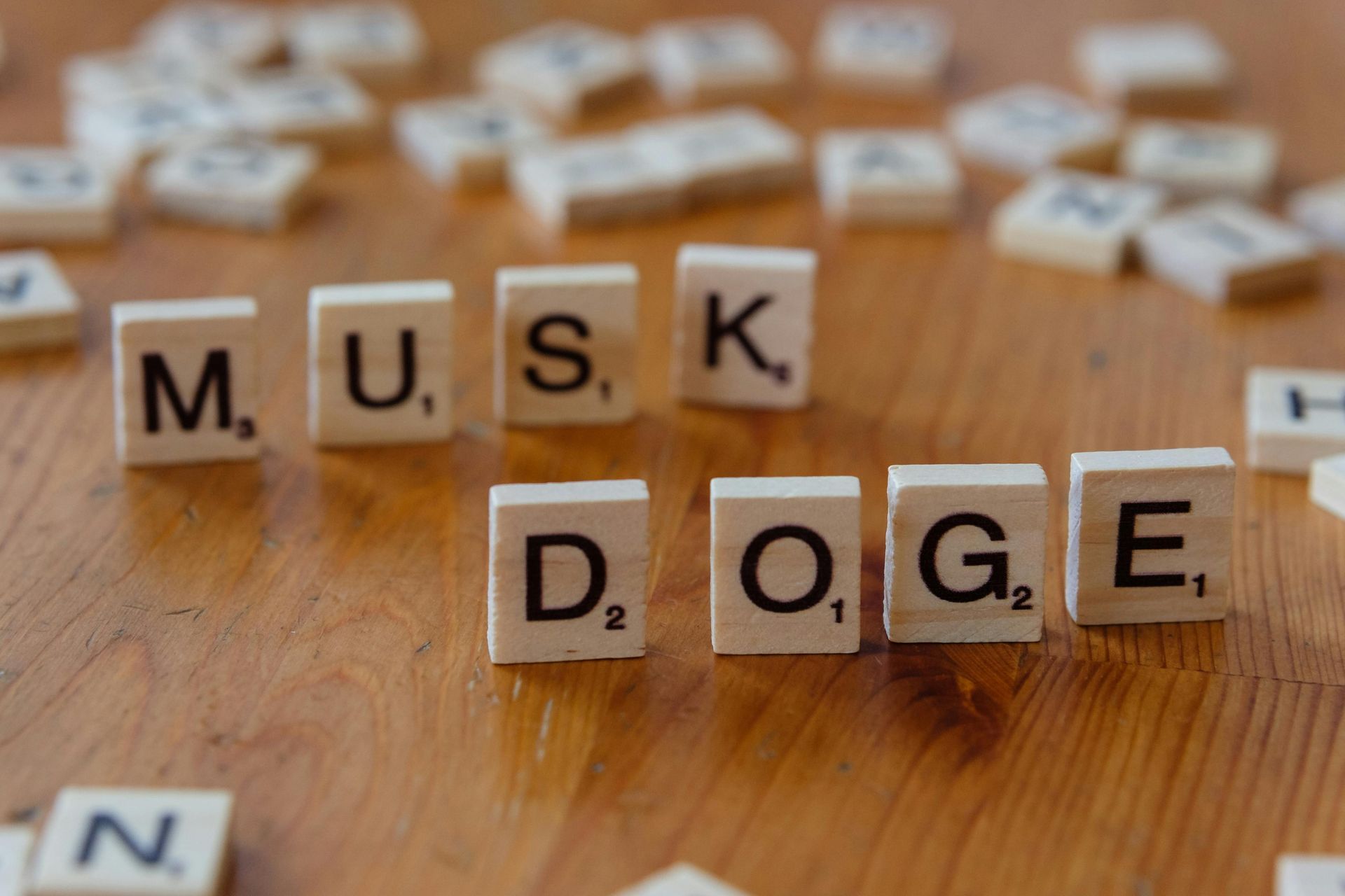 doge healthcare,doge impact on healthcare