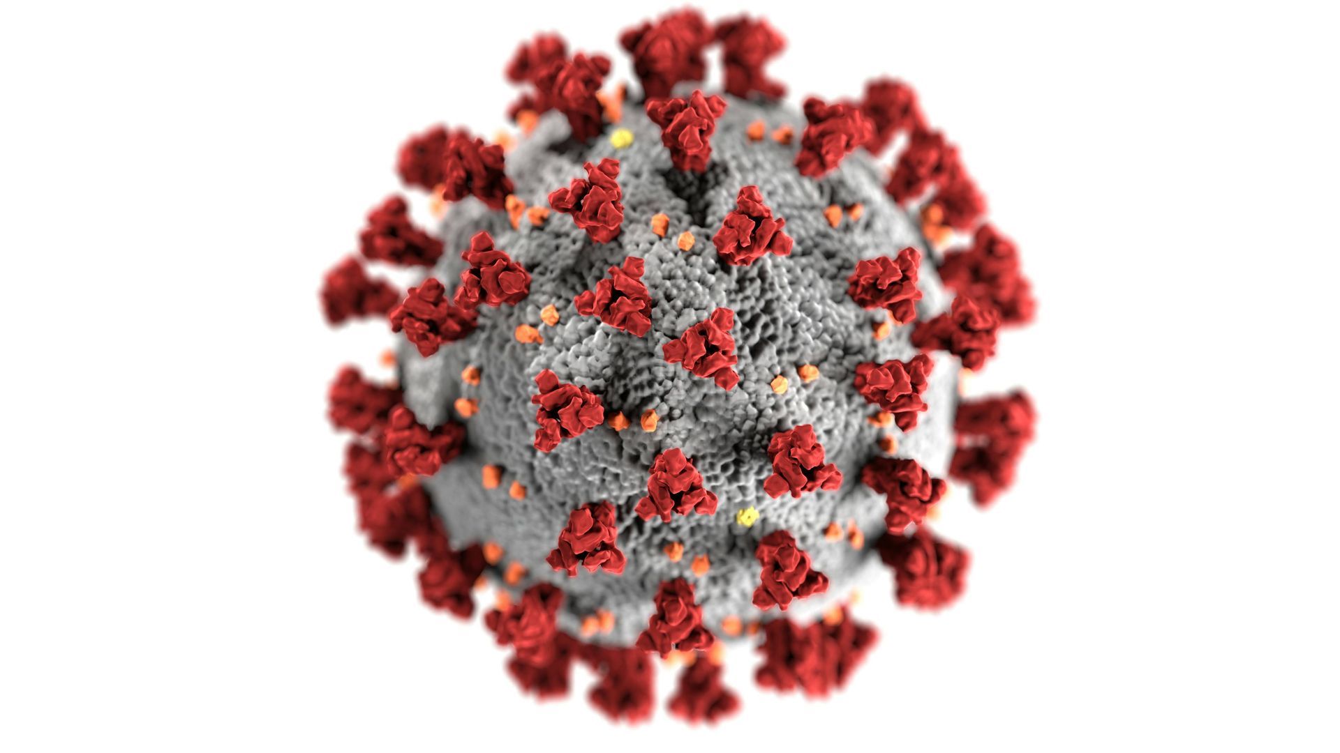 covid vaccine