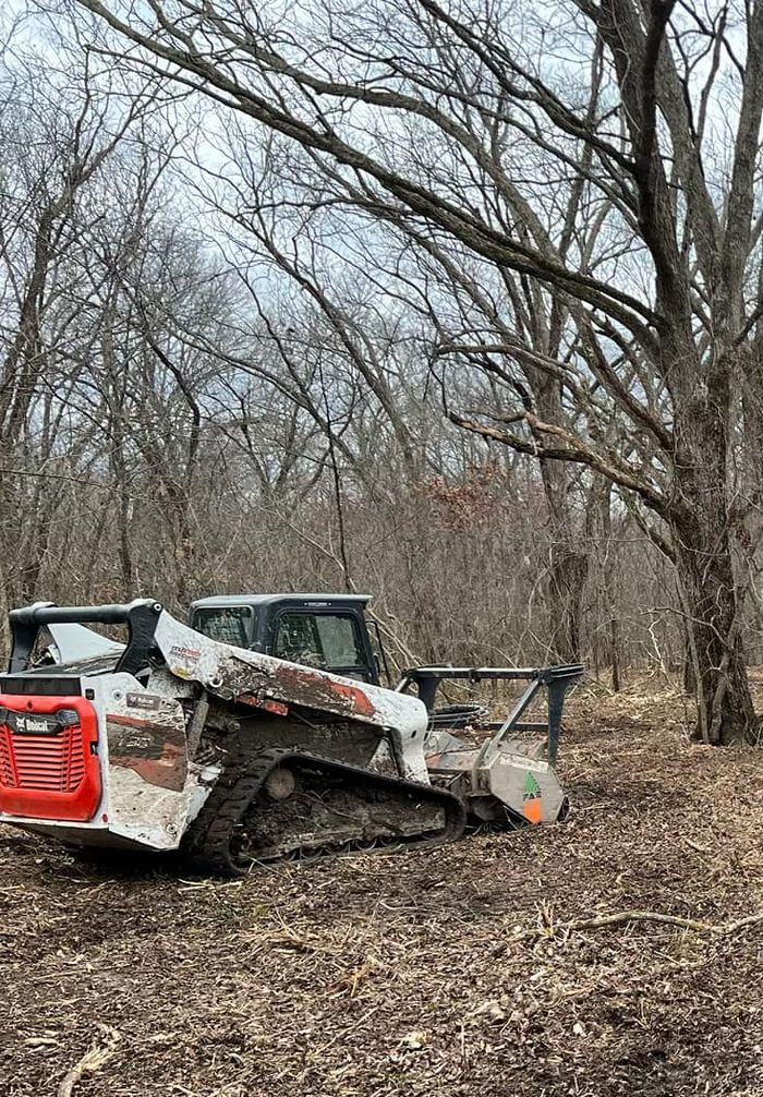 A bulldozer is sitting in the middle of a forest.