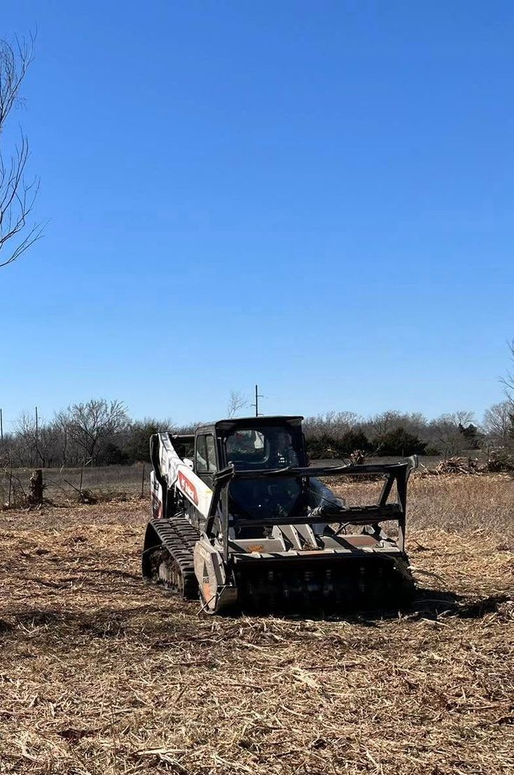 A bobcat is sitting in the middle of a field.