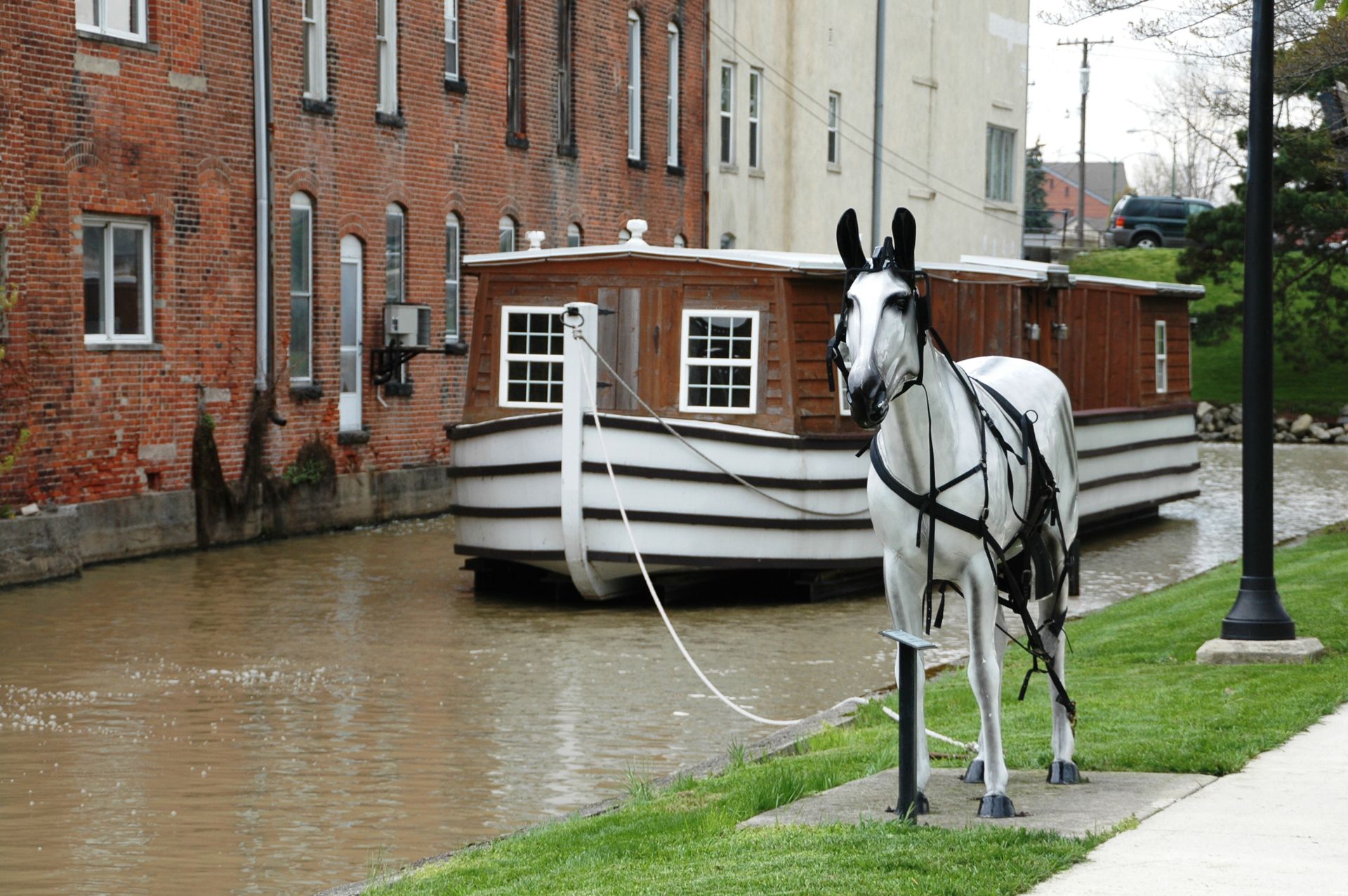 A white mule replica stands beside a canal with a restored canal boat, brick building background. This is in St. Marys, Ohio.