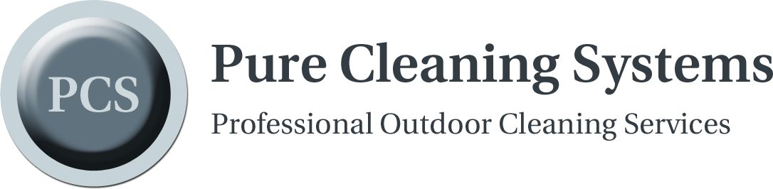 Pure Cleaning Systems