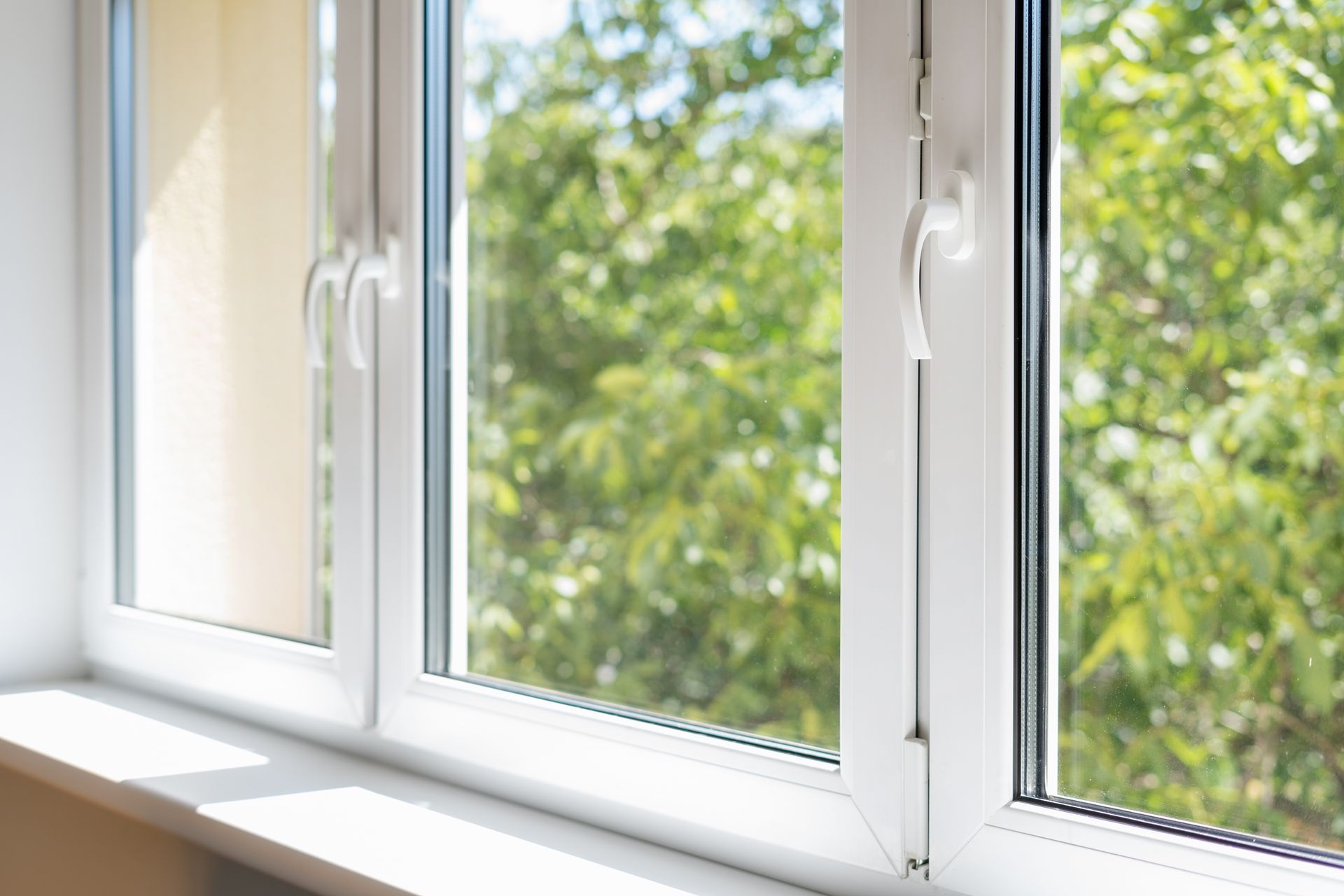 White window frames with bright green trees visible outside in daylight