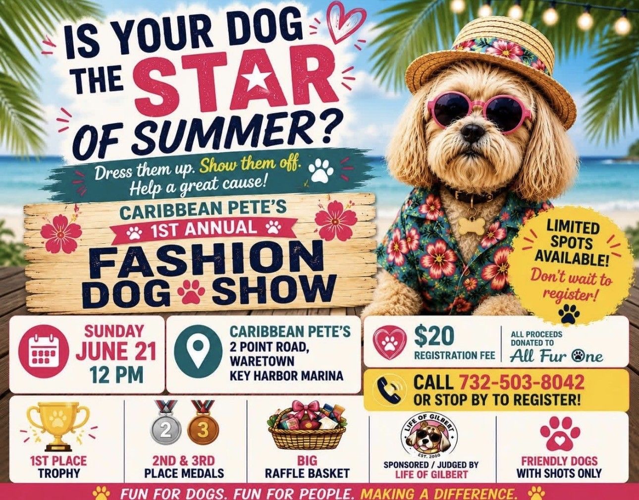Colorful poster for Caribbean Pete's fashion dog show with a dressed-up poodle and event details; June 21, 12 PM.