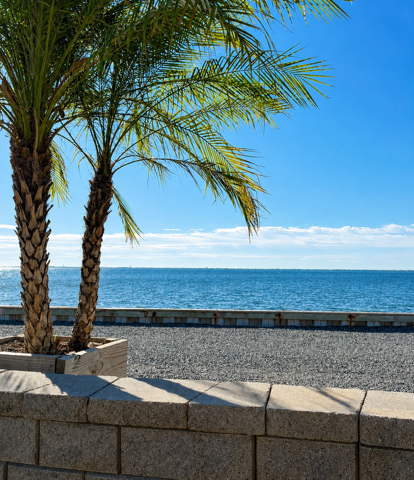 Palm trees beside a sunny seaside promenade with blue ocean and clear sky