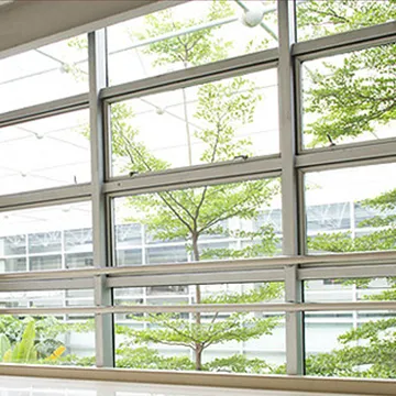 Large windows with a view of trees, sunlight, and a building with glass panes.