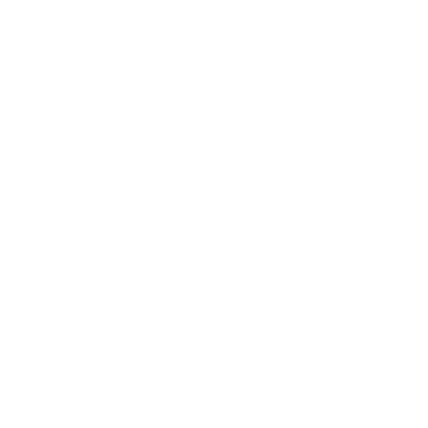 Raisemasters logo