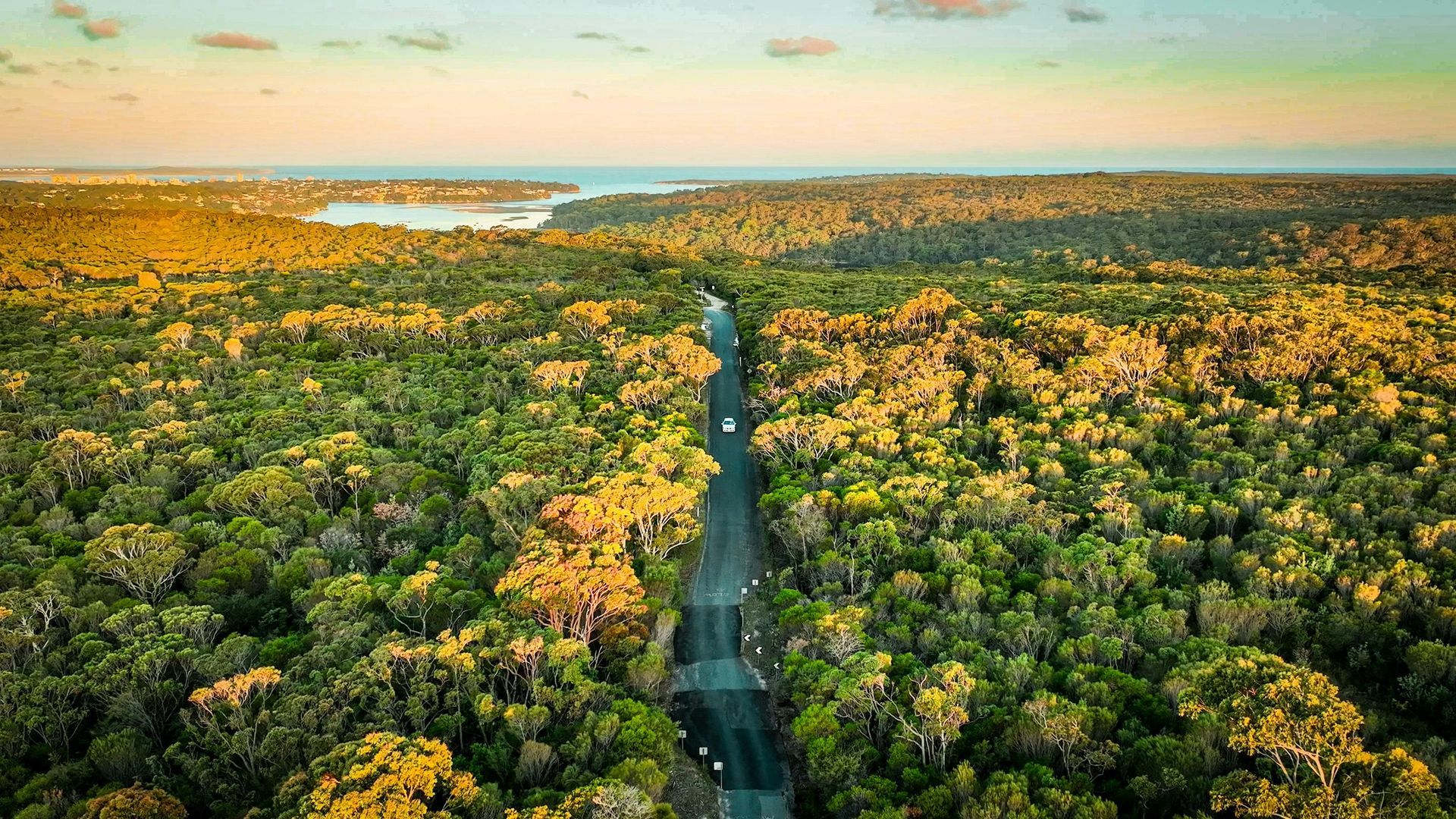 An aerial view of a road going through a lush green forest.